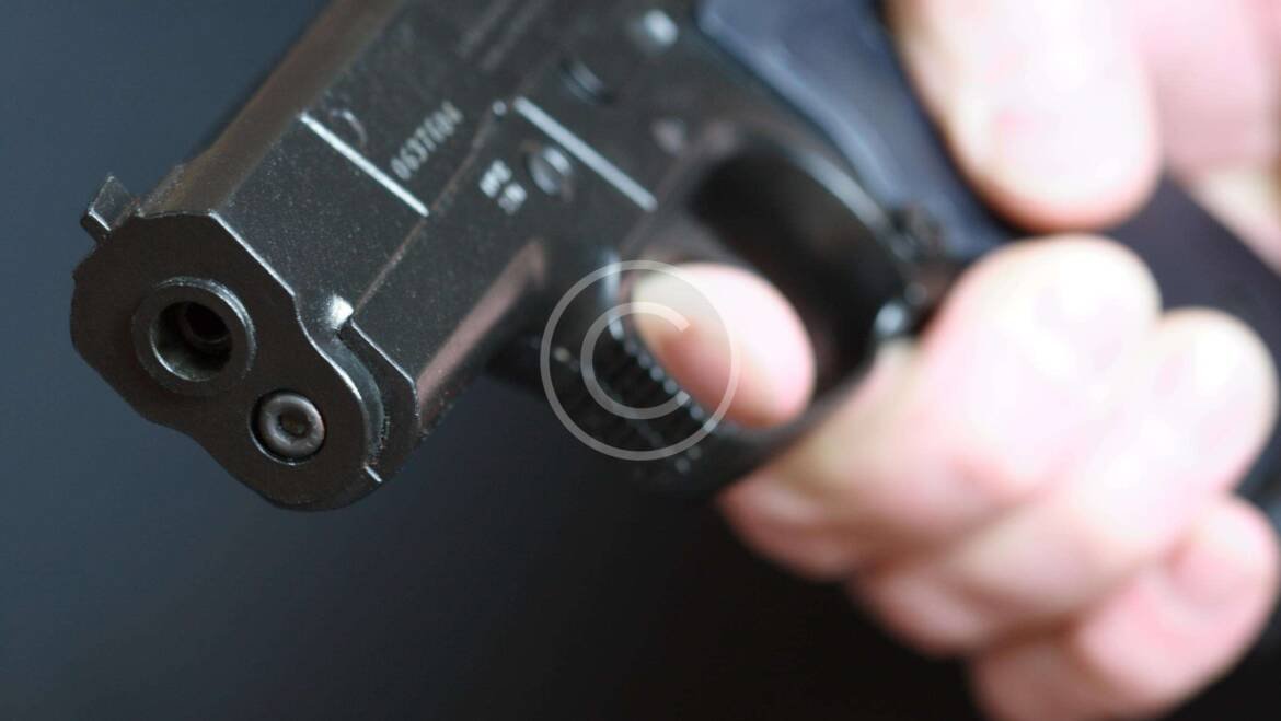 Laws for Firearm Owners