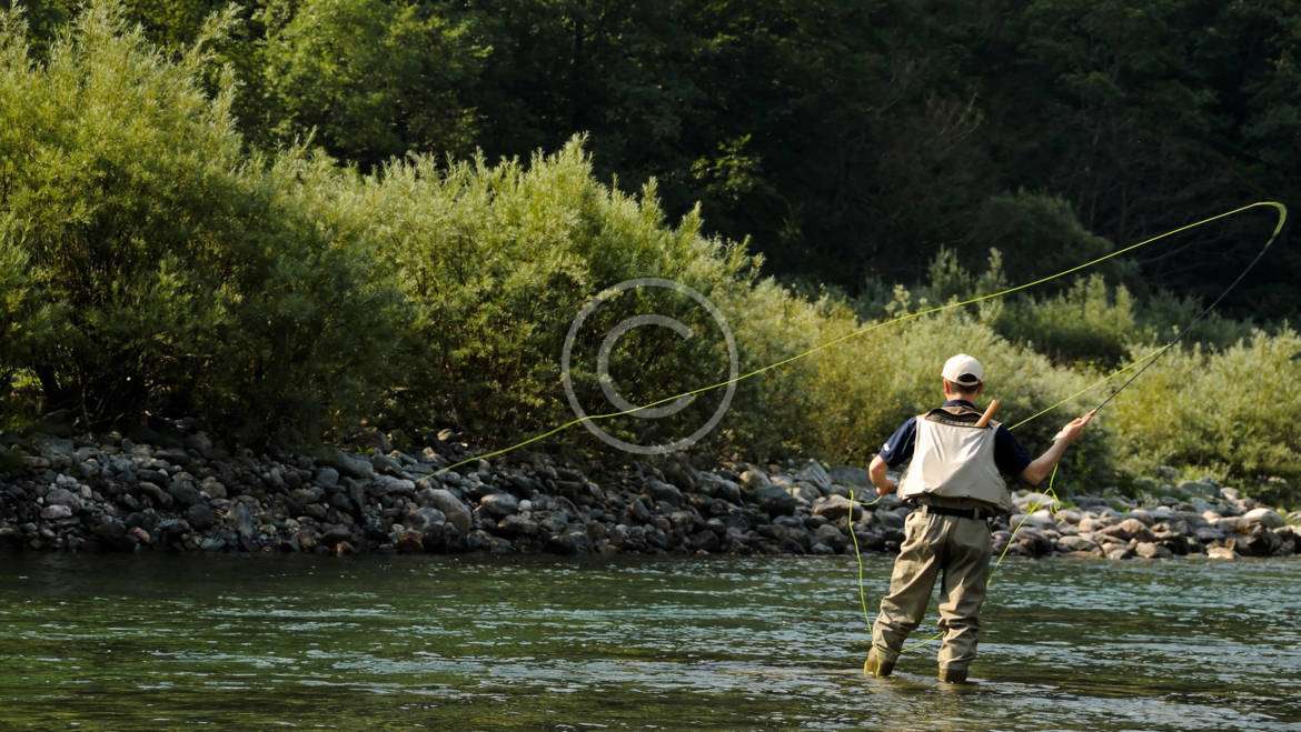 Putting the Marabou to Work for More Muskies