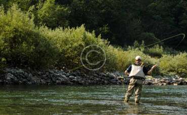 Putting the Marabou to Work for More Muskies