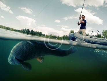 How Water Temperature and Oxygen Affect Fishing