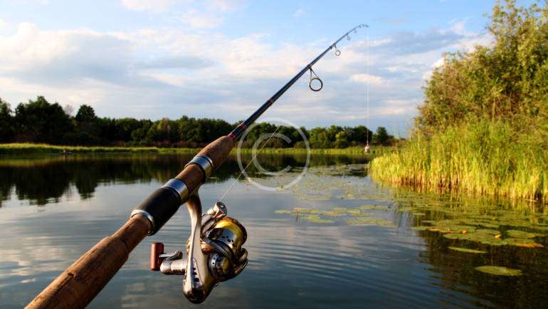 Tips When Buying a Fishing Pole