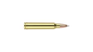 Nosler Trophy Grade .300 Winchester Magnum 180 Grain AccuBond Brass Cased Centerfire Rifle Ammunition 500 ROUNDS