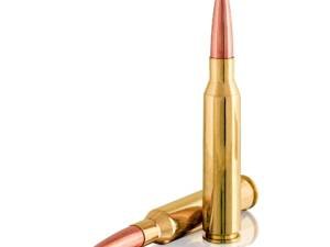 Rifle Ammo